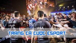trang cá cược esport có nhiều ưu thế
